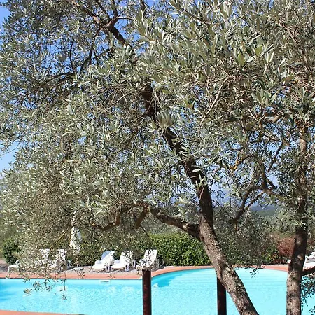 Alloggio per agriturismo Agriturismo Antico Borgo Poggitazzi