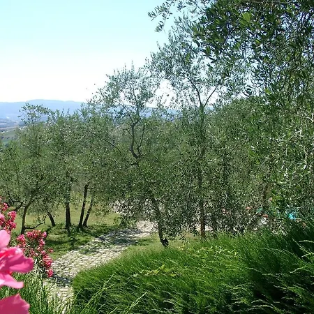 Bauernhof Antico Borgo Poggitazzi Loro Ciuffenna